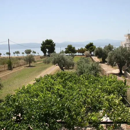 Vlichos Amarynthos