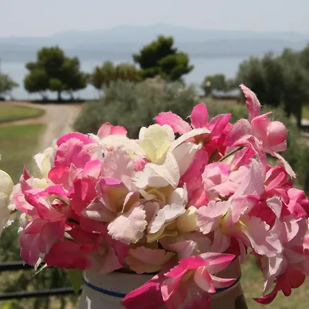 Vlichos Holiday home Amarynthos