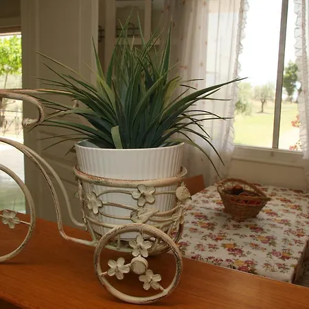 Holiday home Vlichos