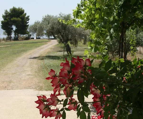 Tatil Evi Vlichos Amarynthos