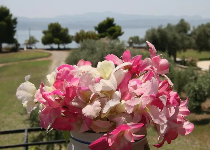 Vlichos Tatil Evi Amarynthos