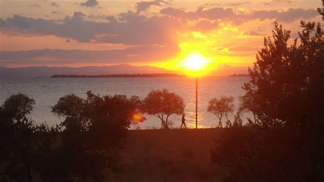 Vlichos * Amarynthos